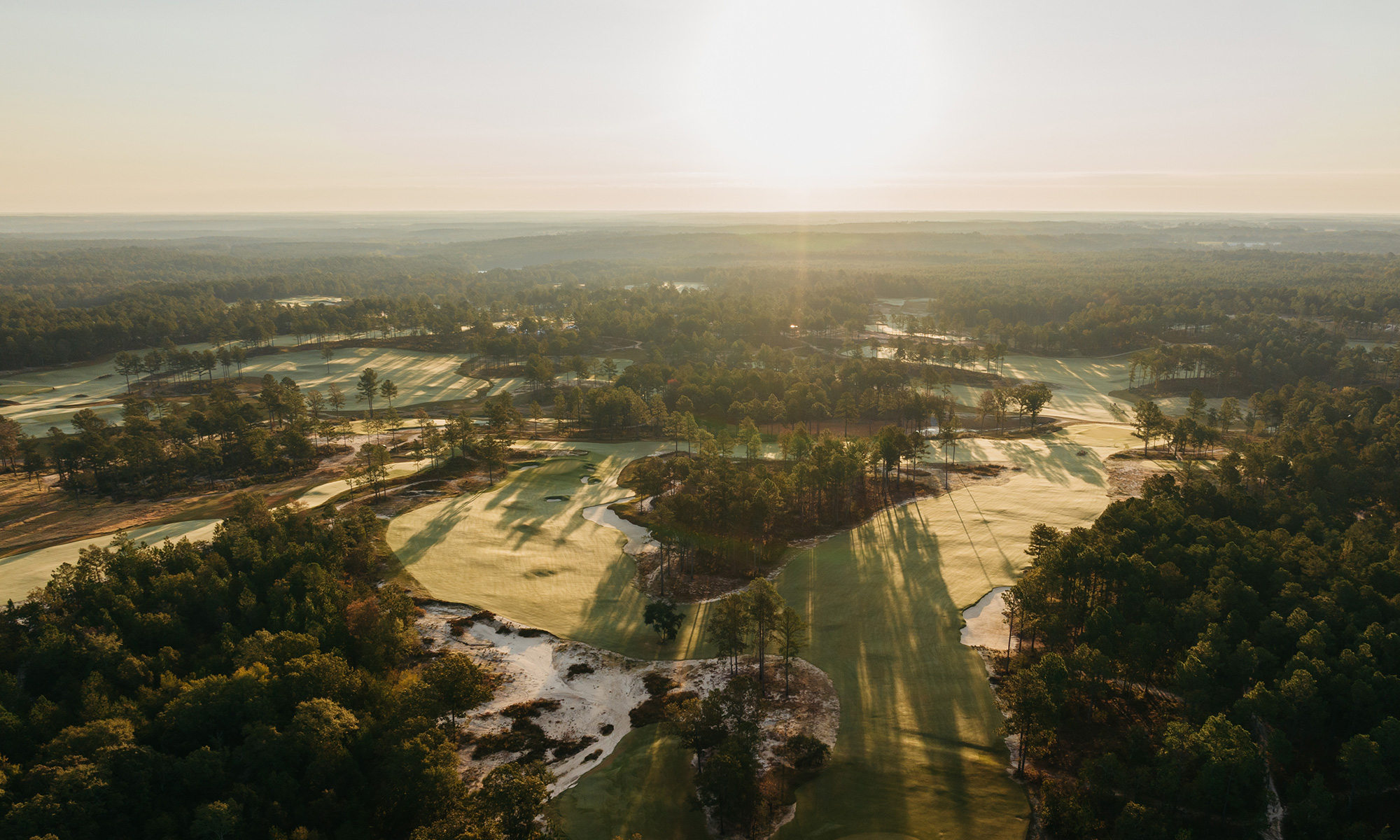 The Tree Farm, Batesburg, United States